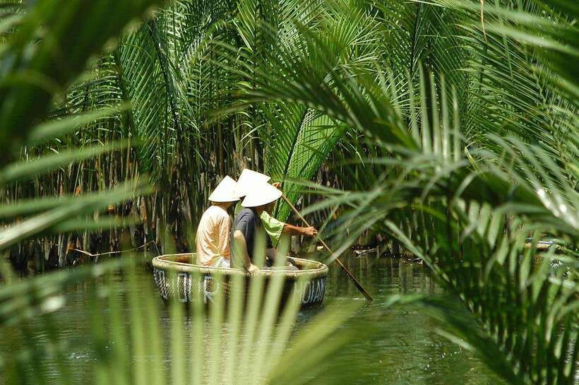 From Da Nang: Hoi An Ancient Town & Monkey Mountain Day Tour - Cam Thanh Coconut Jungle: fishing nets and basket boat rowing