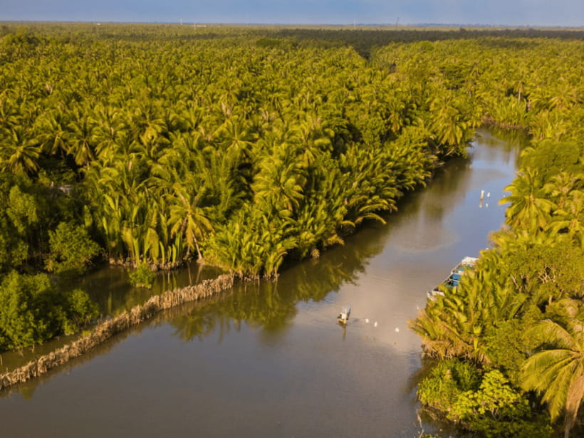 From Ho Chi Minh: My Tho Ben Tre Mekong with Lunch - Key Moments That Drive the Best Experiences