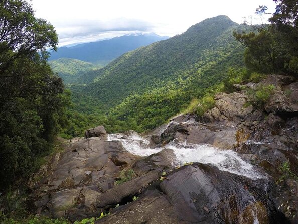 Full day: Hoi An - Bach Ma National Park - Key highlights worth your attention
