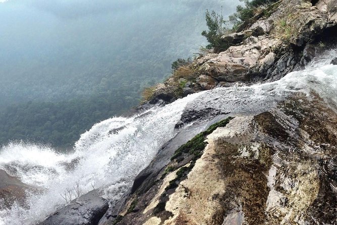 Full day: Hoi An - Bach Ma National Park - Do Quyen waterfall and the Five Lakes: your afternoon breaks