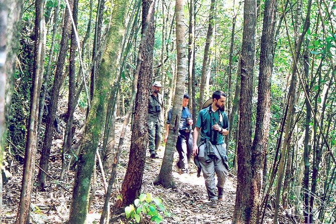 Full day: Hoi An - Bach Ma National Park - French colonial remnants: old hotel and observatory in the woods