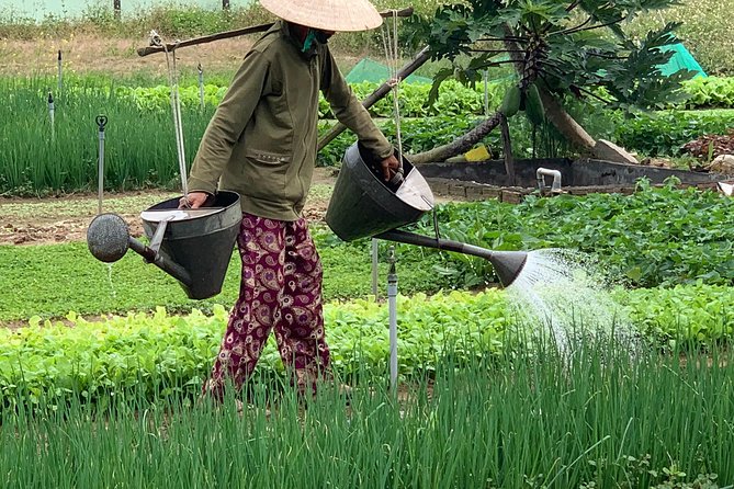 Full Experience Tour: Cooking Class & Basket Boat at Eco-Village - A Family-Run Tra Que Day: What This Eco-Village Experience Really Feels Like