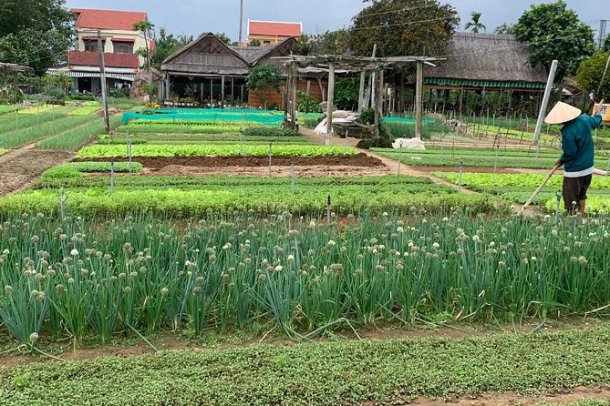Full Experience Tour: Cooking Class & Basket Boat at Eco-Village - How the Hoi An Stop Fits In: Practical Time in Town