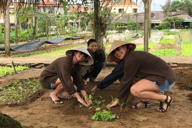 Gardening at Tra Que Vegetable Village and cooking class - Hoe, Plant, Water, Harvest: What Morning Farming Teaches You