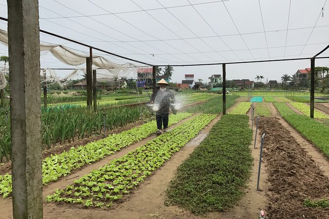Gardening at Tra Que Vegetable Village and cooking class - Price and Logistics: Is $45 Good Value?