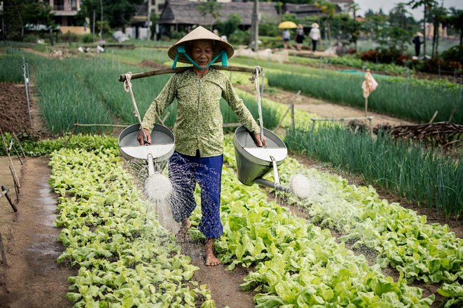 Half Day Cooking Class At Tra Que Vegetable Village Hoi An - Ba Le Market: choosing ingredients and learning the bargaining rhythm