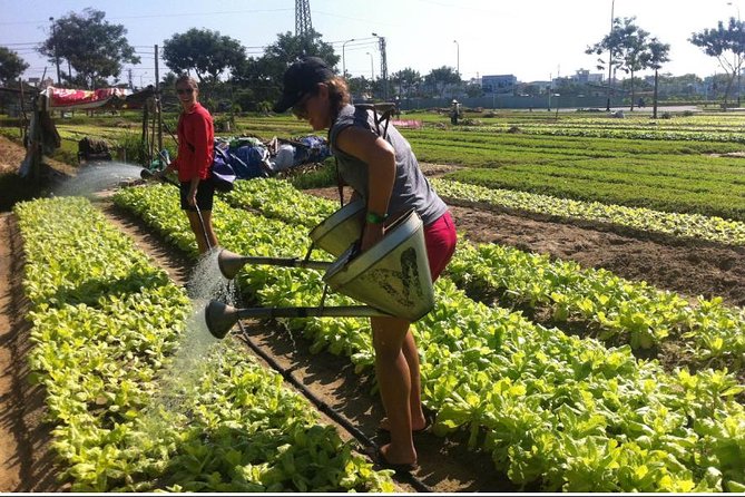 Half Day Cooking Class At Tra Que Vegetable Village Hoi An - The Master Chef cooking class: turning farm ingredients into dishes