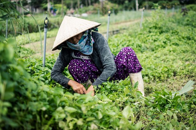 Half Day Cooking Class At Tra Que Vegetable Village Hoi An - Who should book this and who should skip it