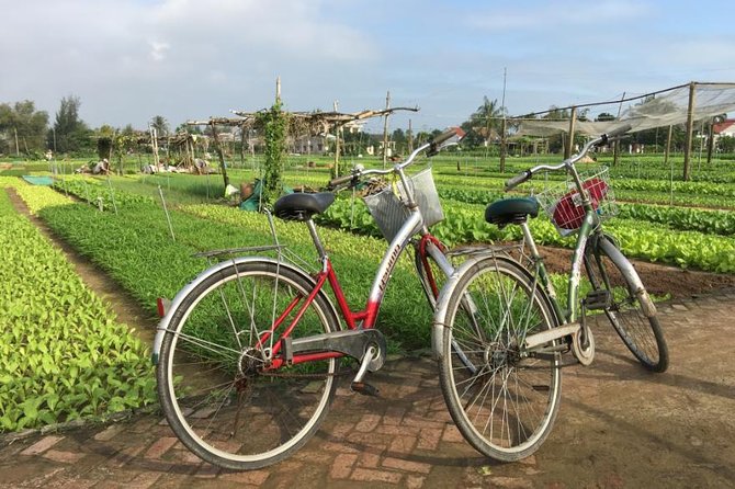 Half Day Cooking Class At Tra Que Vegetable Village Hoi An - Tra Que Vegetable Village: farming with traditional methods (and a welcome drink)