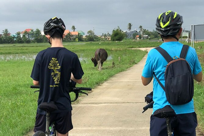 Half-day Hoi An Countryside Bike Tour and Basket Boat with Lunch - Stop 2: The Cam Kim Bridge View Over the Thu Bon River