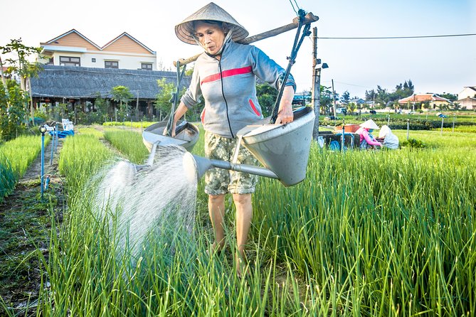 Half-day Hoi An Sunrise Or Sunset Photo Tour - Hotel pickup and the “shoot-first” pace