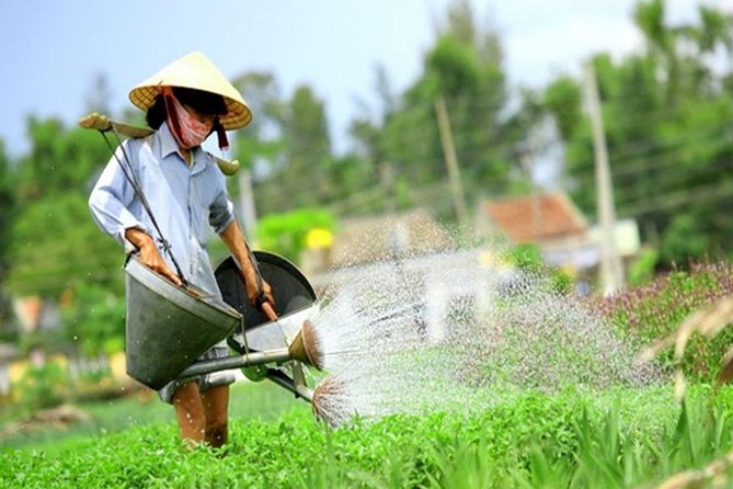 Half -Day Tra Que Herbal Village Tour from Hoi An - Key highlights worth your morning