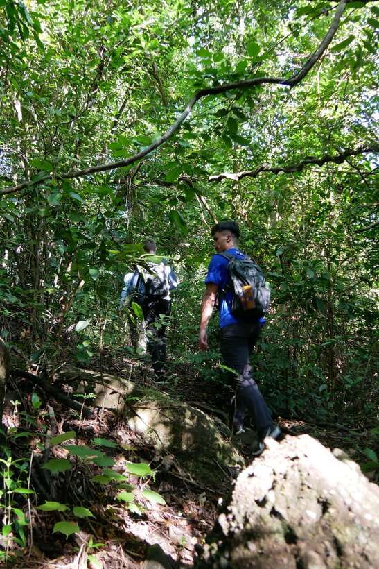 Hoi An: Amazing My Son Sanctuary and Mountain Trekking - Timing That Keeps the Day from Feeling Rushed