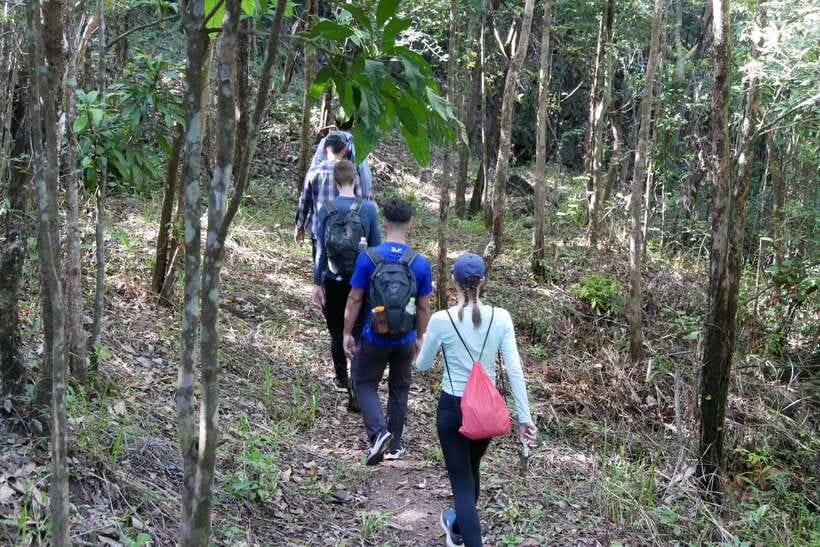 Hoi An: Amazing My Son Sanctuary and Mountain Trekking - Should You Book This My Son Sanctuary and Mountain Trek?