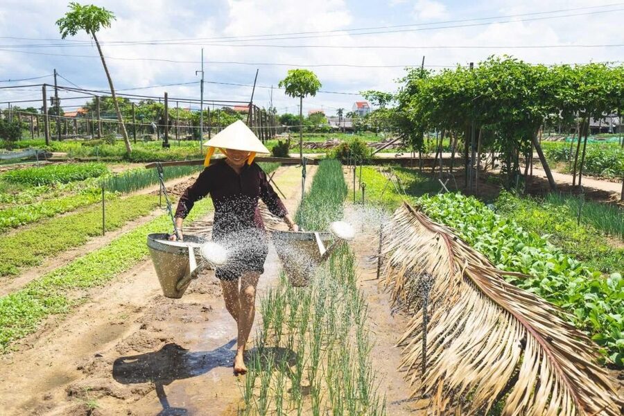 Hoi An: Authentic Cooking class in organic Herb Village - Over 300 Years of Herb Farming Grown by Hand