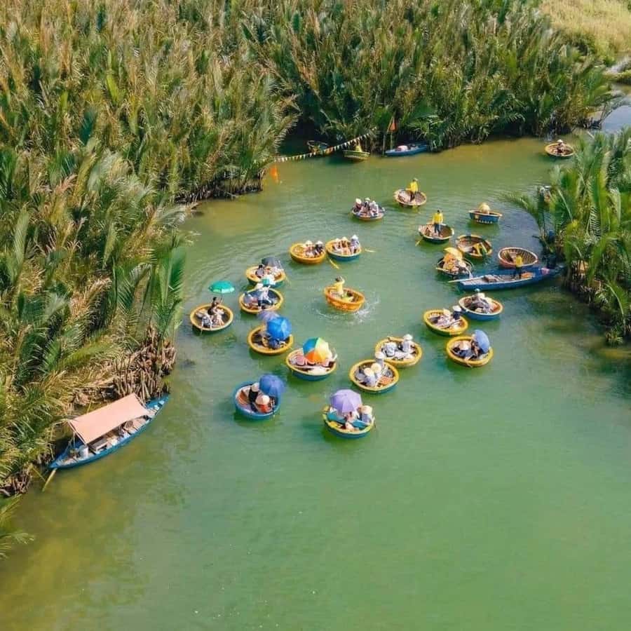 Hoi An : Bamboo Basket Boat Tour with Transportation - Bay Mau Coconut Forest: why this feels special near Hoi An