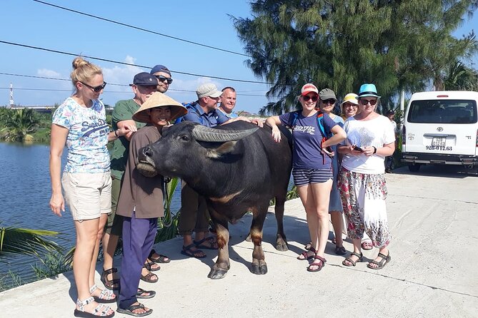 Hoi An Bicycle And Cooking Class Tour - Timing, heat, and weather: how to plan so it feels fun