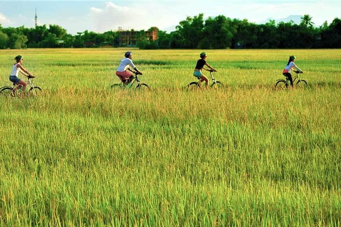 Hoi An Bicycle And Cooking Class Tour - Who this tour suits best (and who might want a different plan)