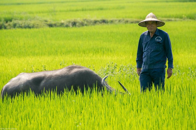 HOI AN Biking River Islands, Villages, Local Crafts PRIVATE TOUR - What to bring so the day stays comfortable