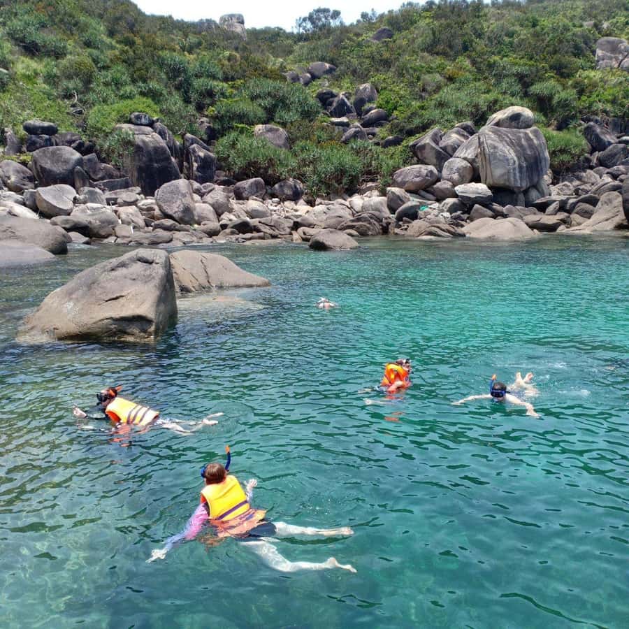 Hoi An: Cham Islands Snorkeling Trip by Speedboat with Lunch - Should you book the Cham Islands snorkeling trip from Hoi An?