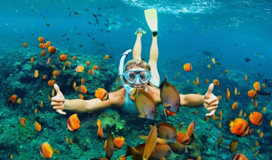 Hoi An: Cham Islands Snorkeling Trip by Speedboat with Lunch - Why the Cham Islands feel like a real change of pace