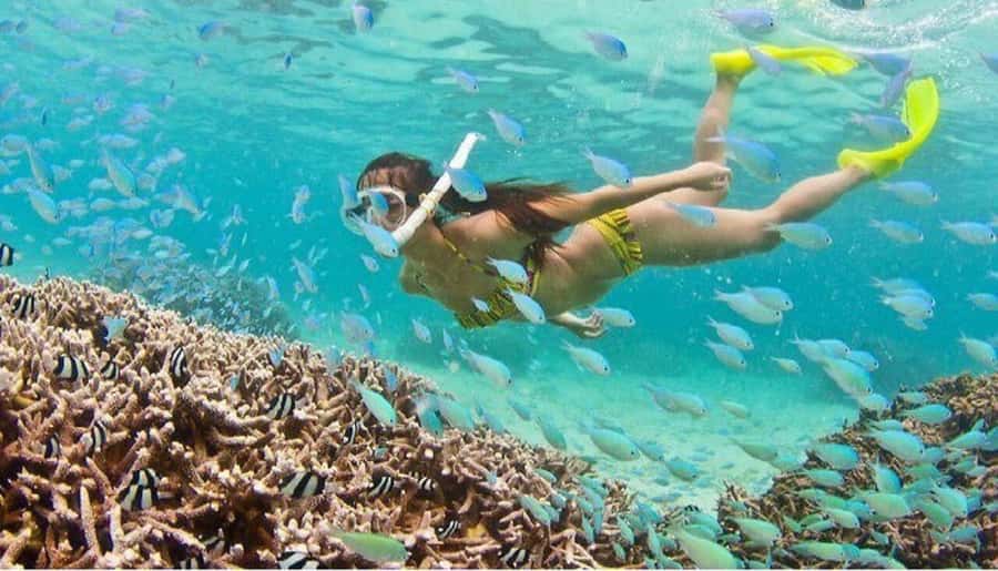Hoi An: Cham Islands Snorkeling Trip by Speedboat with Lunch - Cham Island stops: pagoda, well, market, and island life
