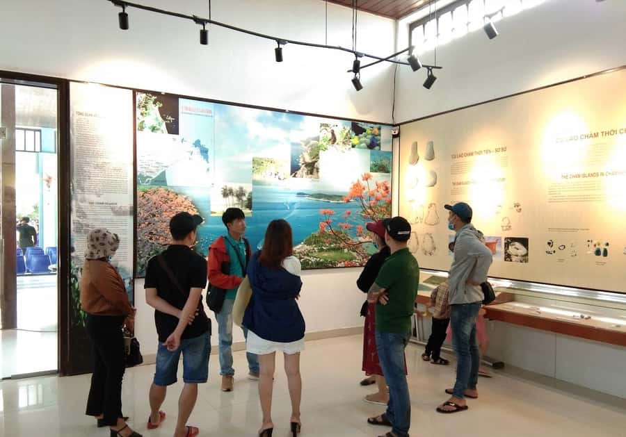 Hoi An: Cham Islands Snorkeling Trip by Speedboat with Lunch - Price and logistics for a $34 day trip