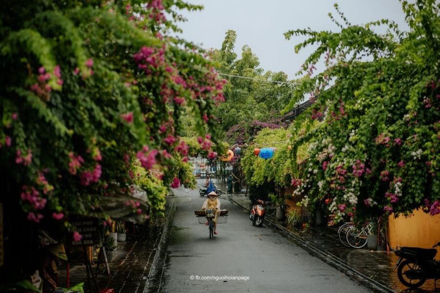Hoi An: City Tour, Banh my and Coffee - Vietnamese coffee culture: what you’ll likely notice at the secret stop