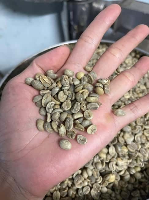 Hoi An:Coffee Making Class (Coffee: egg, Salt, Coconut, ...) - The Expert Story: How Vietnamese Coffee Fits Café Culture