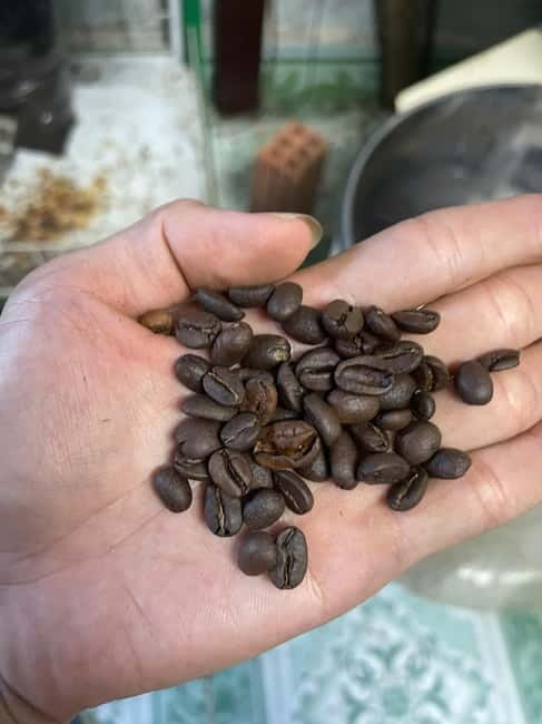 Hoi An:Coffee Making Class (Coffee: egg, Salt, Coconut, ...) - Where You Go: The Local Roastery Experience