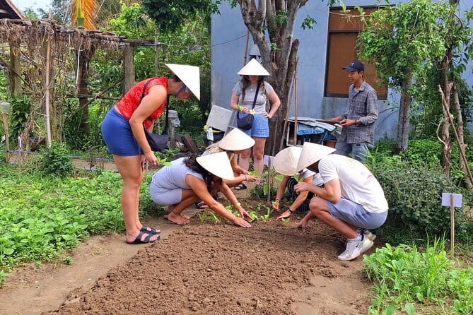 Hoi An Cooking Class & Vespa Cooking Adventure Tour - Getting There by Vespa Through Rice Fields