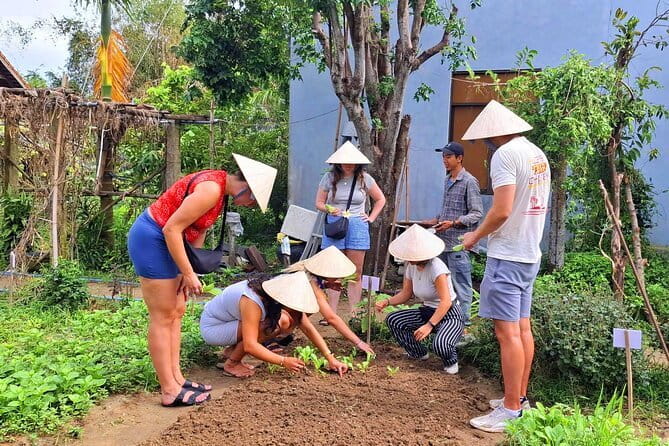 Hoi An Cooking Class & Vespa Cooking Adventure Tour - Who Should Book This Hoi An Cooking + Vespa Tour
