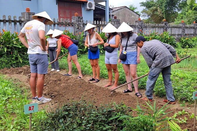 Hoi An Cooking Class & Vespa Cooking Adventure Tour - Pickup, Timing, and the Simple Logistics You’ll Want to Know