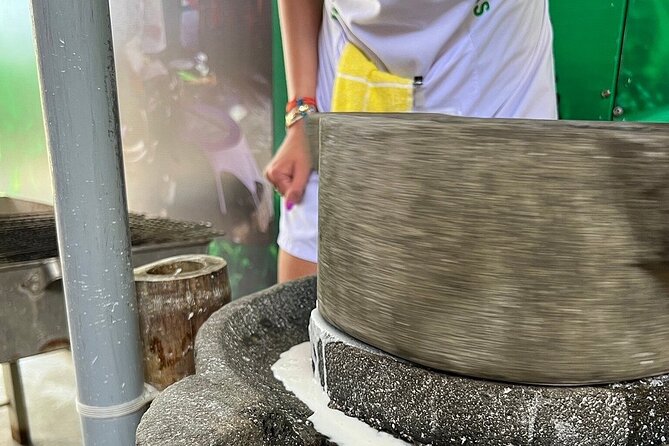 Hoi An cooking class with Basket Boat Tour - Price vs. expectations: a balanced way to think about it