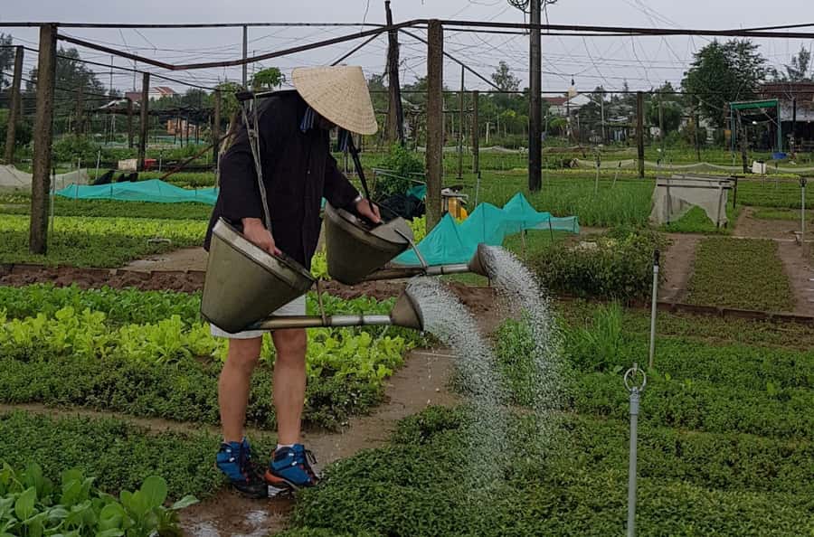 Hoi An Cooking Class With Market and Bamboo Basket Boat Tour - Meeting Hung in Hoi An: the real market start