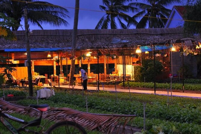 Hoi An Cooking Class With Market Tour and Bamboo Basket Boat Ride - Price and Value: Why Around $27 Feels Fair
