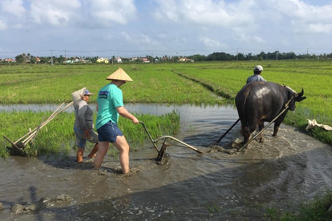 Hoi An Countrylife Tour Experience & Vietnamese Set Menu - Key points worth knowing