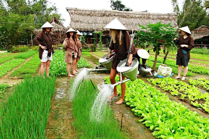 Hoi An Countrylife Tour Experience & Vietnamese Set Menu - Price and what you really get for $45