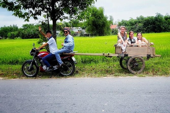 Hoi An Countryside Back Road Tour - Back-road Hoi An: why this route feels more real