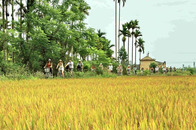Hoi An: Countryside bike tour to Kim Bong village - Getting started at Hoachampa Cafe.tea (and why it matters)