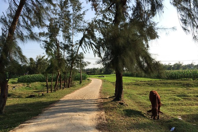 Hoi An: Countryside bike tour to Kim Bong village - Practical tips that will save you hassle on the bike and in workshops
