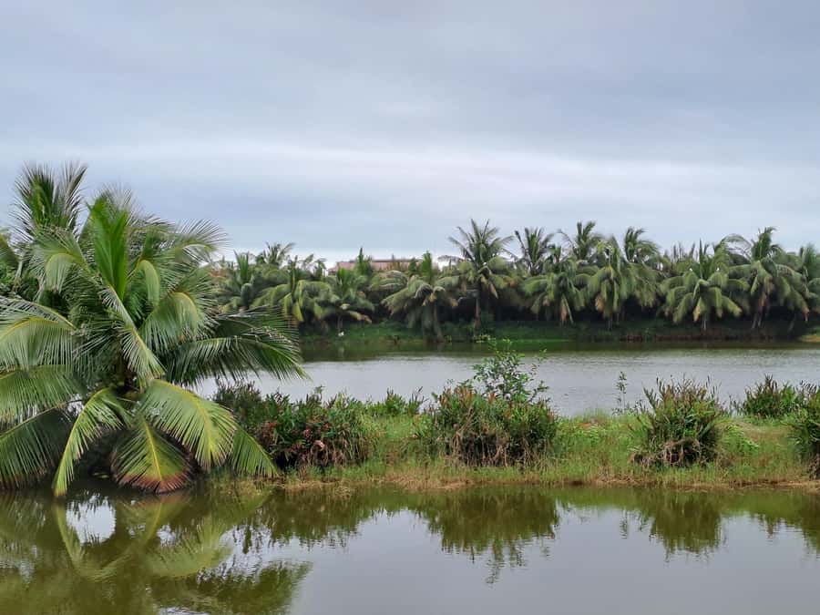 Hoi An Countryside: Biking, basket boat, herb garden, foods - Tips to Get the Most Out of the Day
