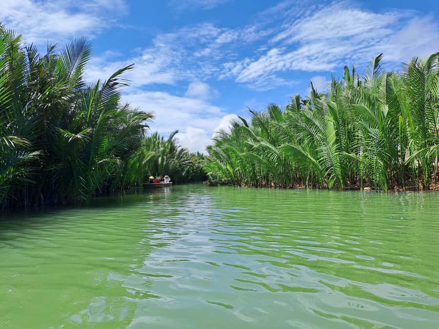 Hoi An Countryside: Biking, basket boat, herb garden, foods - Who Should Book This Tour (and Who Might Not)