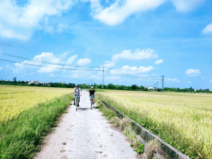 Hoi An Countryside Biking Tour - Tra Que Vegetable Village: The Farming Part You’ll Remember