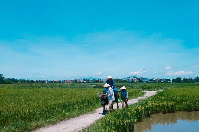 Hoi An Countryside - Buffalo Riding - Basket Boat Rowing - Bay Mau Coconut Forest: Basket Boats, Snail Fishing, Coconut Souvenirs