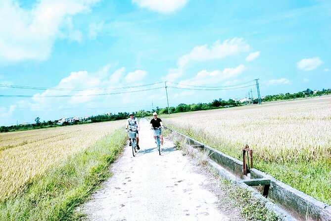 Hoi An countryside cycling tour - Bikes, Timing, Group Size, and the Practical Stuff