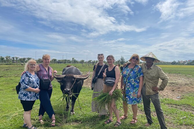 Hoi An countryside cycling Tour,Basket Boat-organic farming-lunch - The countryside bike ride: rice fields, small villages, and an owner-led route
