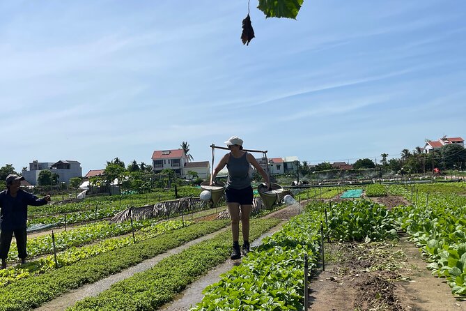 Hoi An countryside cycling Tour,Basket Boat-organic farming-lunch - Vietnamese lunch included: chicken, fish, herb flavors, and dessert