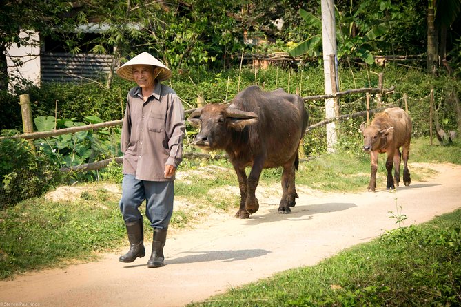 HOI AN Countryside - River Islands - Old Crafts - Local Culture - Stop 6 in Cam Thanh: The Round Basket Boat Ride