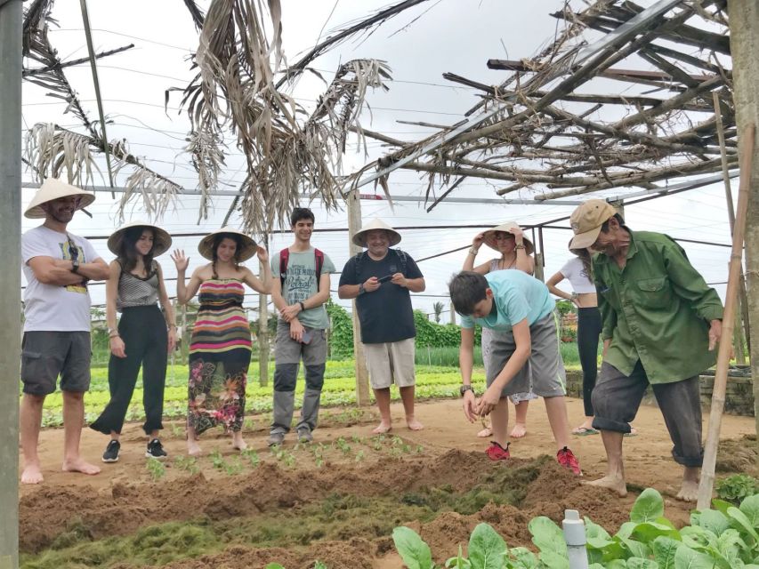 Hoi An: Countryside Tour by Bike with Meal - Price and Value: Is $36 Reasonable for What You Get?
